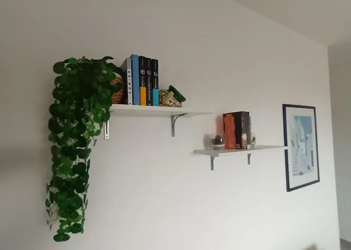 Casa Ulivo - Garden&terrace - Pet Friendly