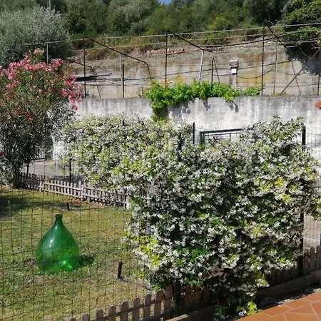 Casa Ulivo - Garden&terrace - Pet Friendly Apartament