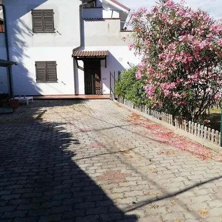 Casa Ulivo - Garden&terrace - Pet Friendly Apartment