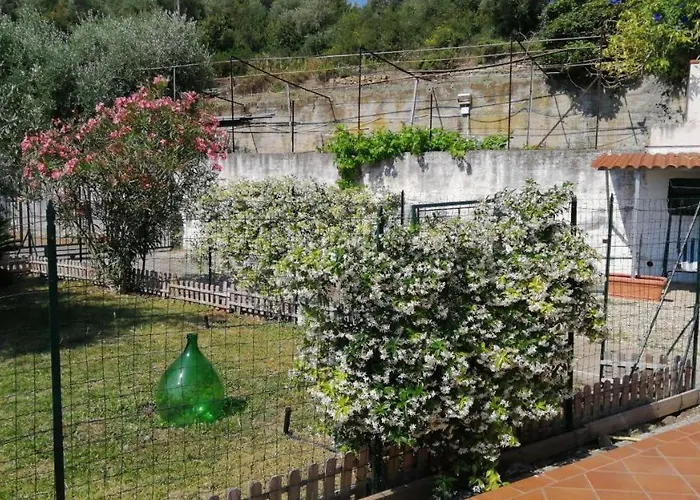 Casa Ulivo - Garden&terrace - Pet Friendly Apartmán